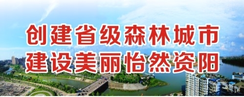 操逼嫩逼欧创建省级森林城市 建设美丽怡然资阳