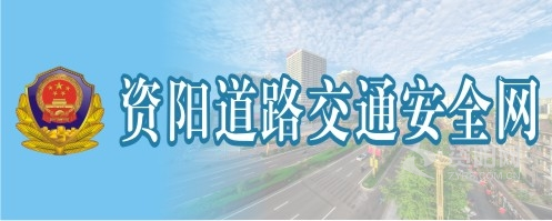 干死逼骚资阳道路交通安全网